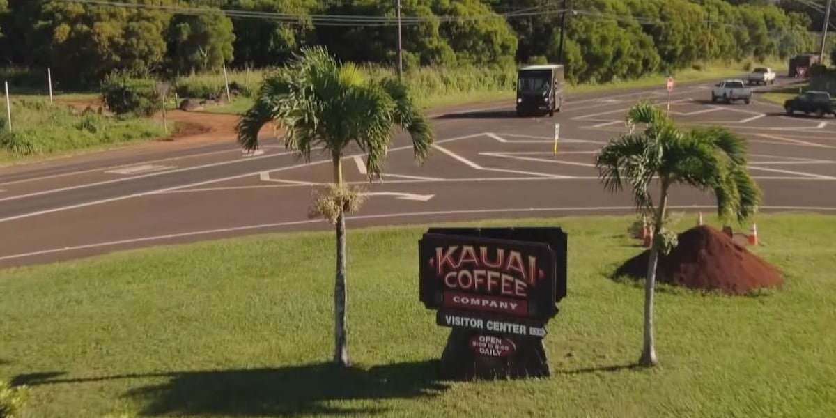 Kauai Coffee Company Faces Layoffs Amid Lease Expiration Concerns