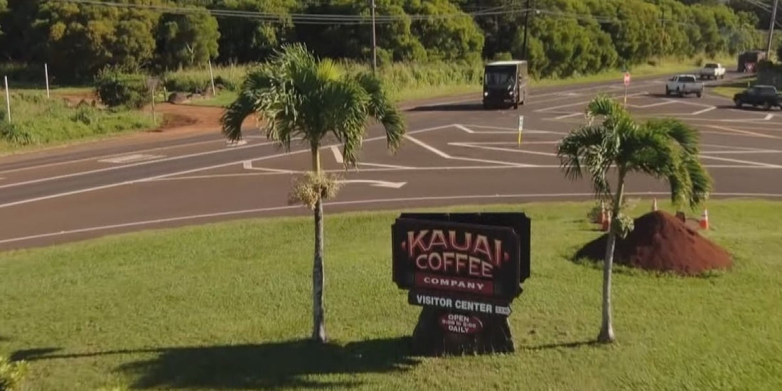 Kauai Coffee Company Faces Layoffs Amid Lease Expiration Concerns