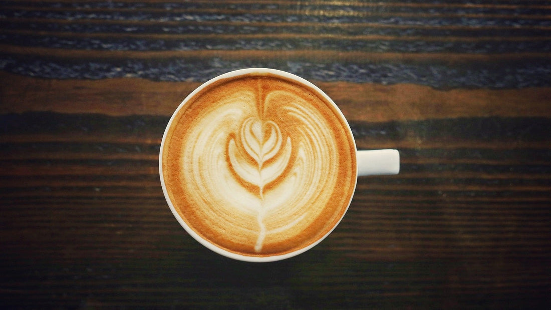 Roasters Specialty Coffee Expands in Dubai and Beyond