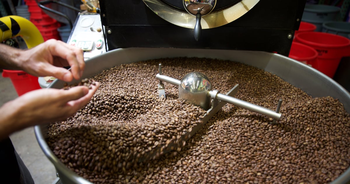 The Dark Side of Your Daily Brew - Coffee's Environmental Impact
