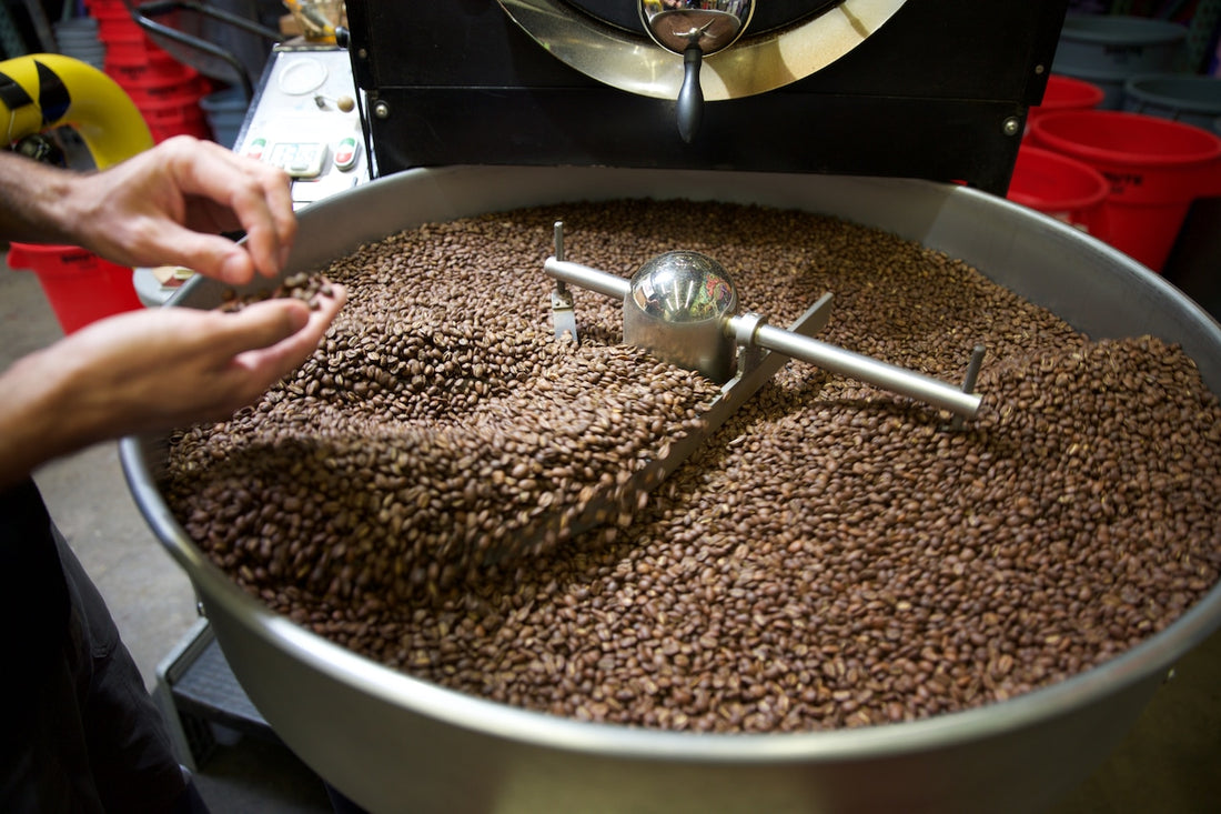 Rising Coffee Prices Leave Portland Drinkers in a Brewed Dilemma