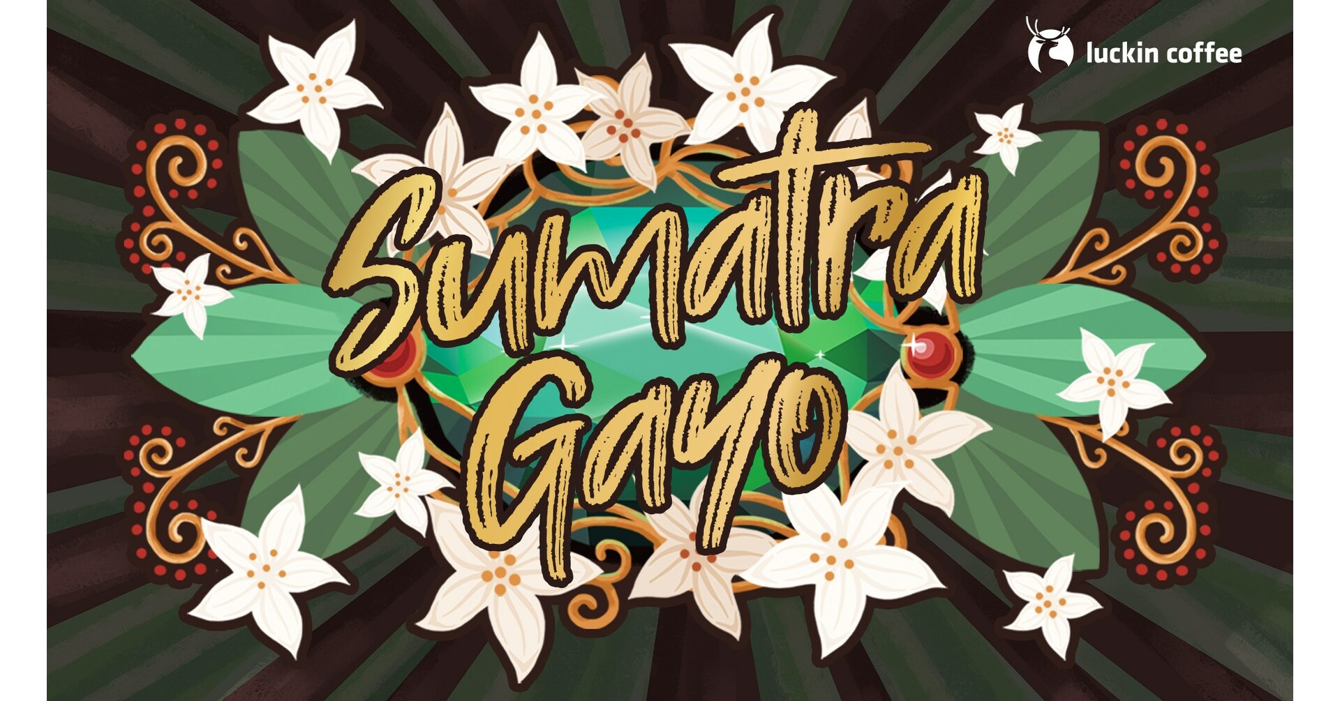 Unveiling the Sumatra Gayo Series - A Tropical Delight from Luckin Coffee