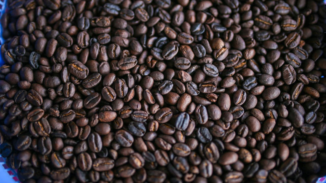 Coffee Roasters Face Bean Shortage Amid Tariff Concerns