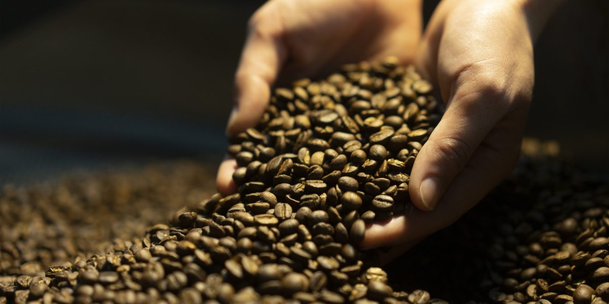 Brazil's Coffee Future - The Rise of Robusta Amid Climate Challenges
