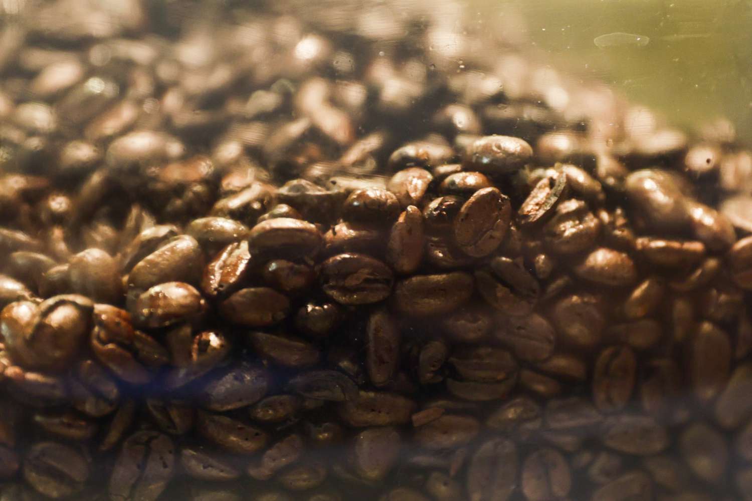 Specialty Coffee Surge - Gen Z & Industry Giants Like Starbucks Thrive