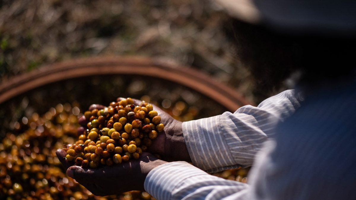 Coffee Prices Soar - Your Daily Brew Just Got Pricier