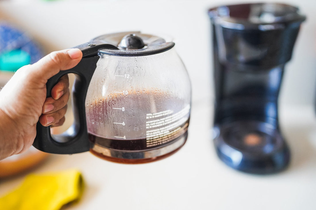 Exploring the Hidden Benefits of Coffee on Gut-Brain Health