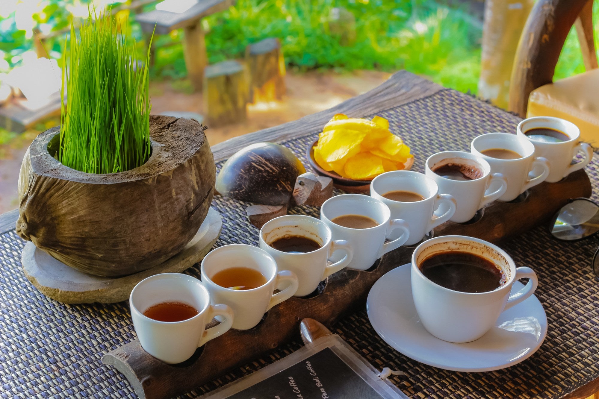Luxury Coffee - The Wild World of Poop Beans and Pricey Brews