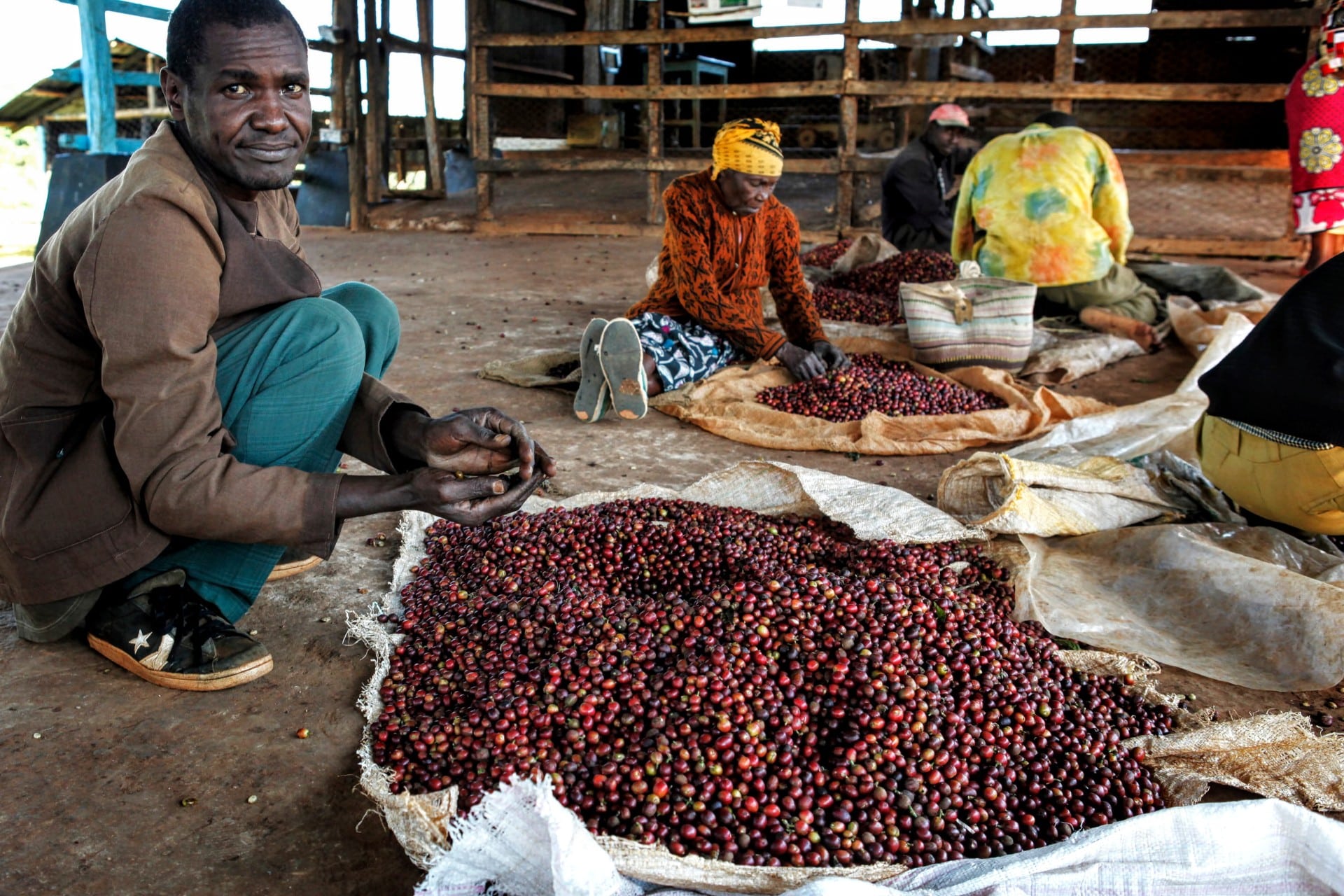 Reimagining the Coffee Supply Chain - Fair Value Distribution for Farmers