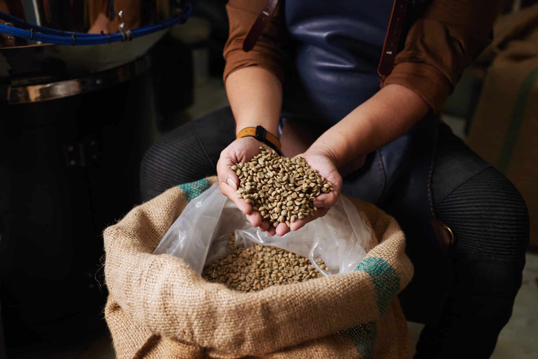 New Research to Transform Coffee Quality Standards