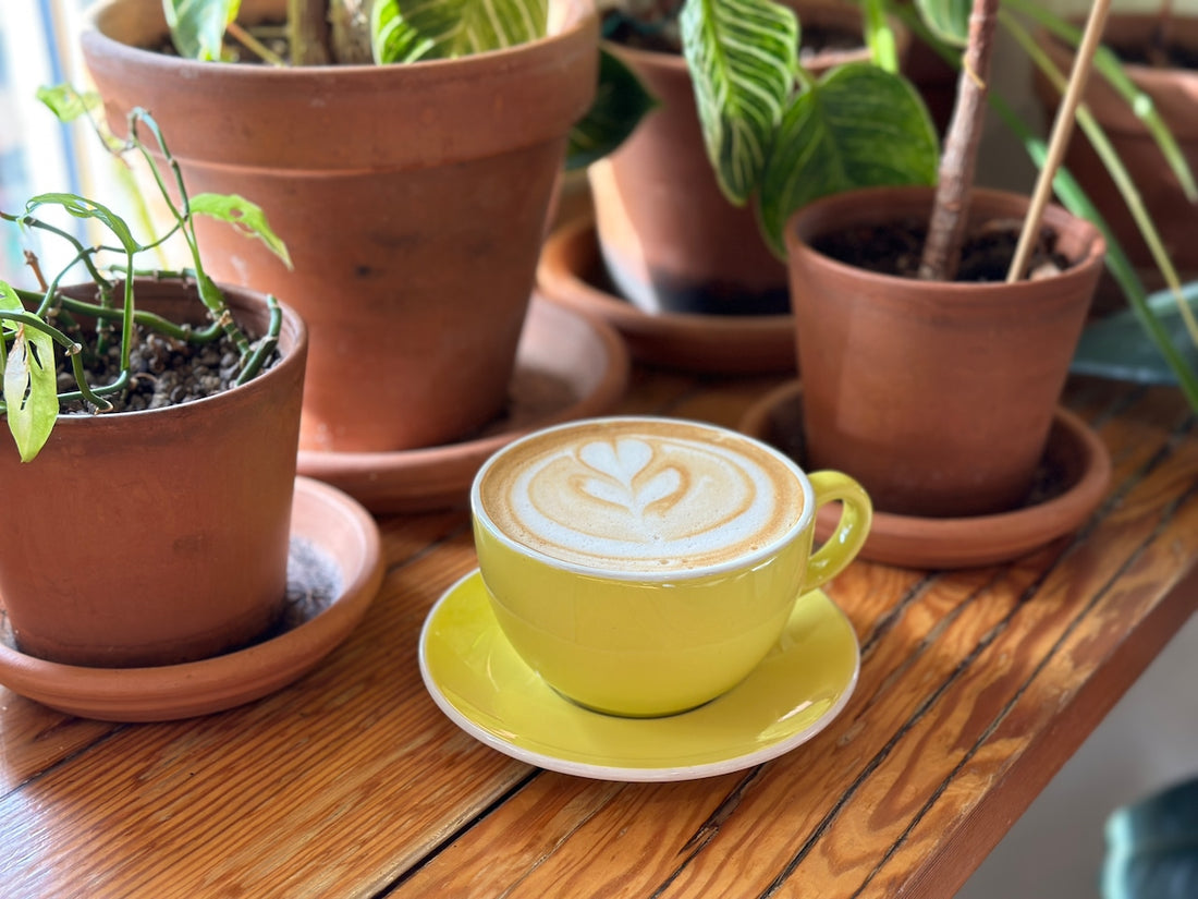Fall Flavors - Portland's Best Seasonal Coffee Drinks to Savor