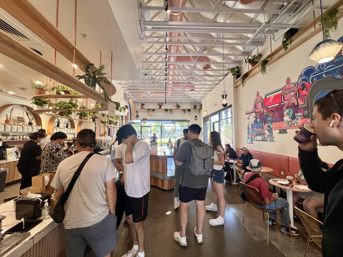 Voyager Craft Coffee - A Student's Perfect Study and Hangout Spot