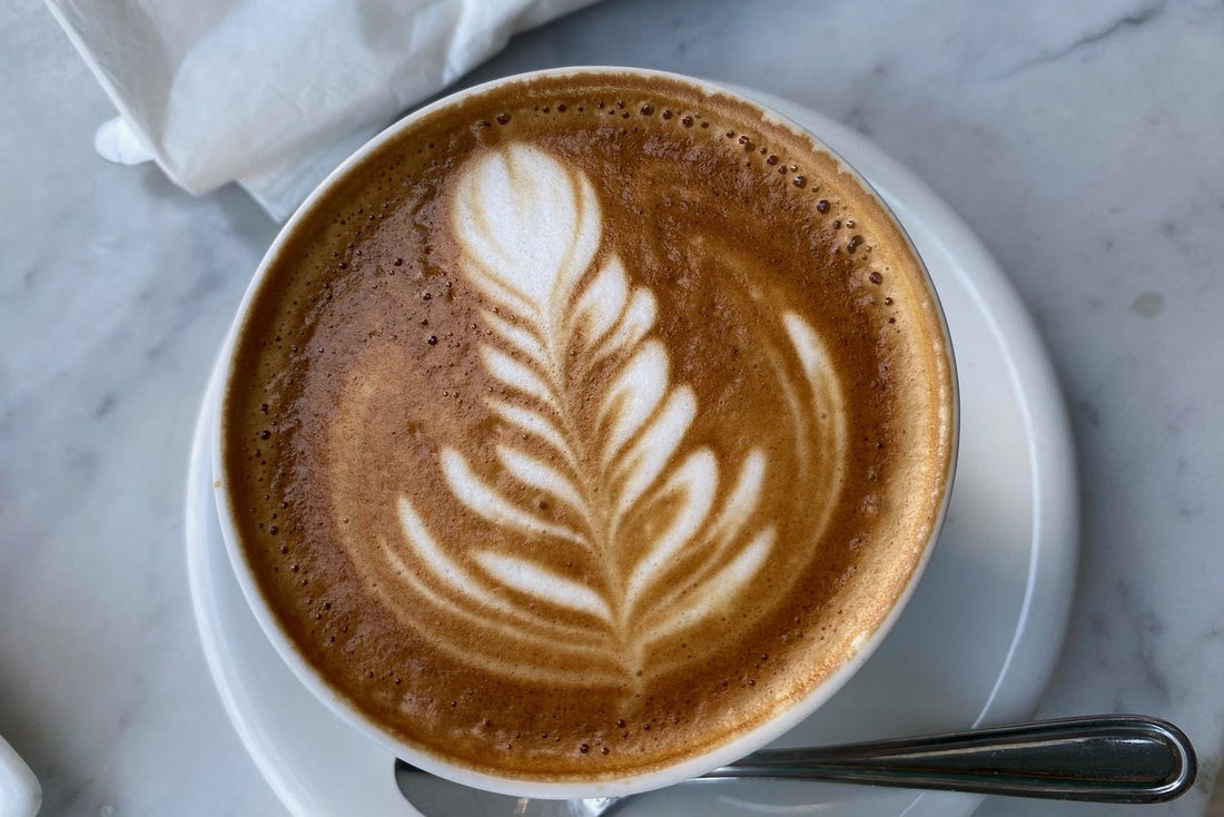 New EU Rules Demand Deforestation-Free Coffee by 2026