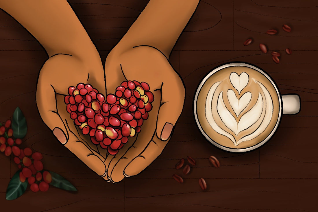 Coffee's Journey - From Farm to Cup and the Fight for Fairness