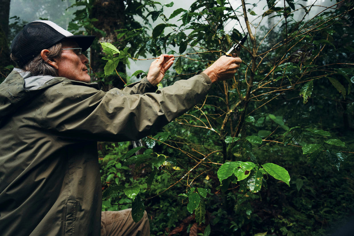 Remembering Justin Boudeman - A Legacy of Exceptional Coffee