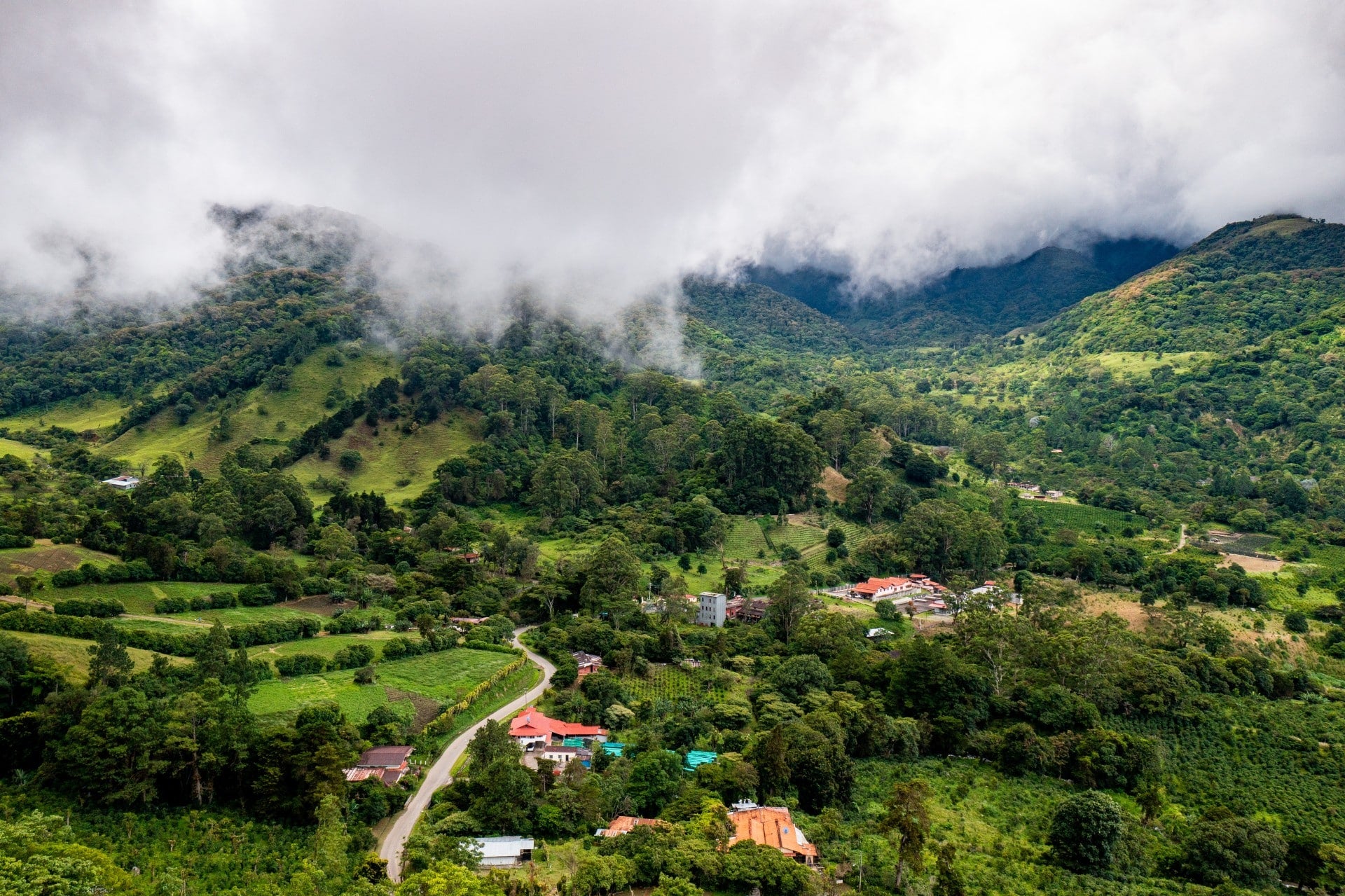 Record-Breaking Coffee Auction Sets New Price Highs in Panama
