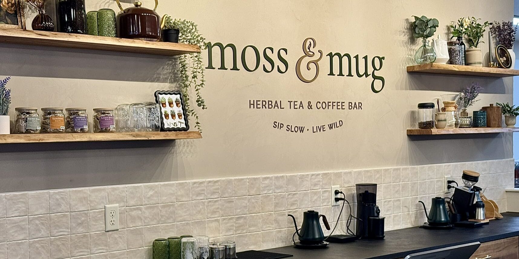 Moss & Mug - A Unique Coffee Experience with Herbal Flavors