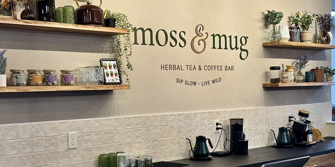 Moss & Mug - A Unique Coffee Experience with Herbal Flavors