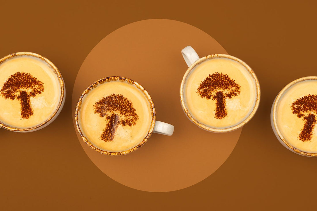Mushroom Coffee - The Trendy Brew Blending Coffee and Fungi Benefits