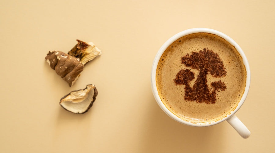 Mushroom Coffee and Unique Brews - The New Coffee Trends