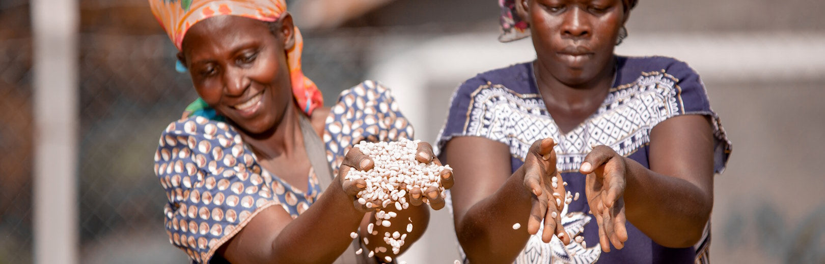 The Vital Role of Origin Variety in Coffee Roasting