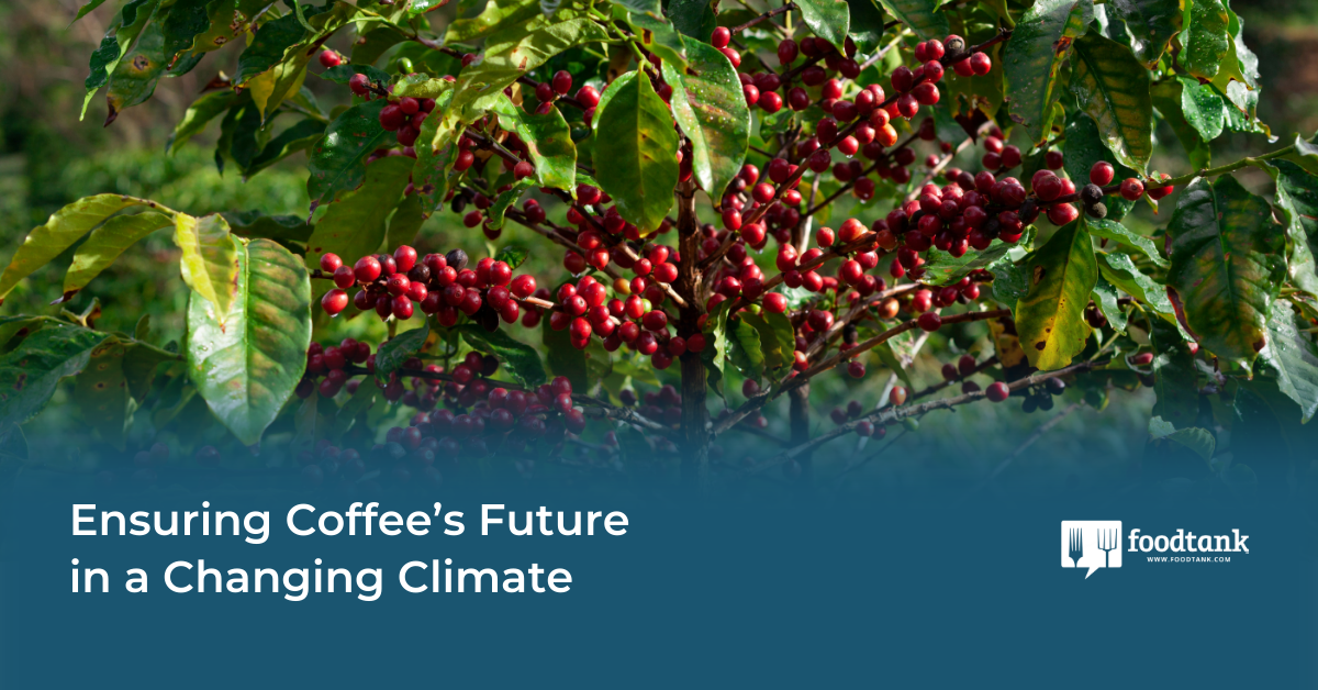 Building a Sustainable Future for Coffee with Nespresso's Programs