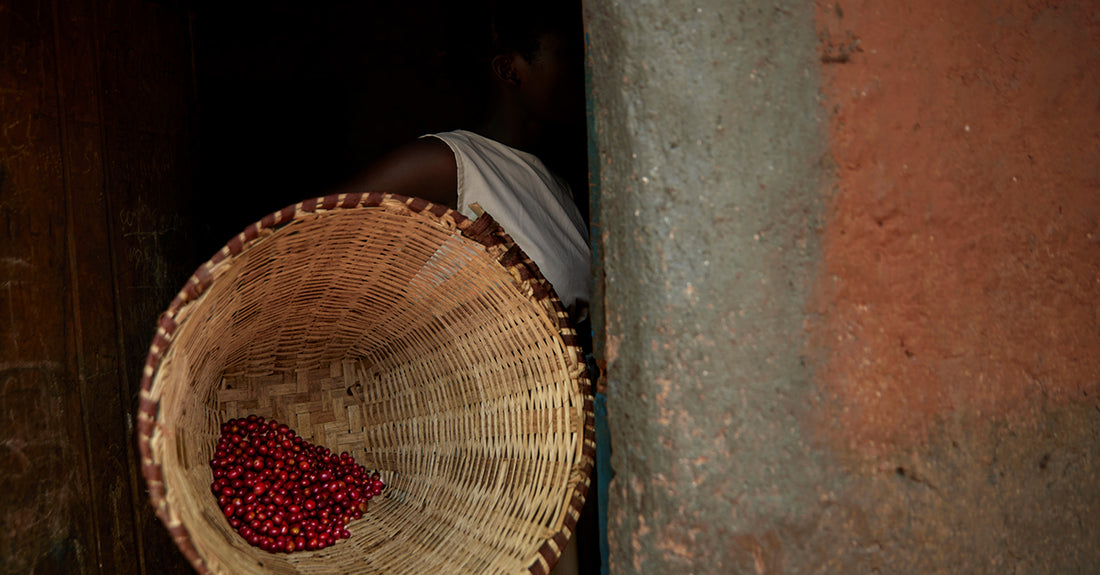 Nespresso's Green Revolution - From Beans to Compostable Capsules