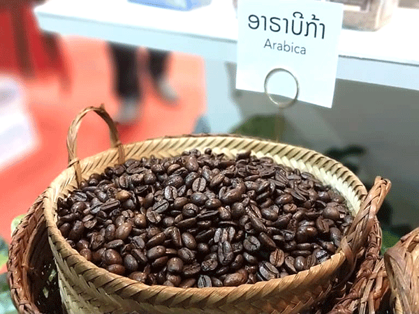 Laos Launches Asia's First Hydrogen-Powered Coffee Roasting Plant