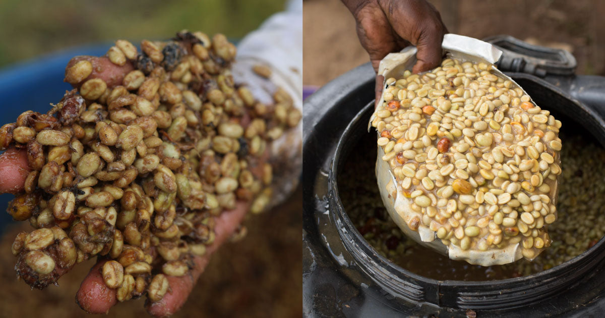 Infused Coffees - A Flavorful Trend or a Threat to Authenticity?