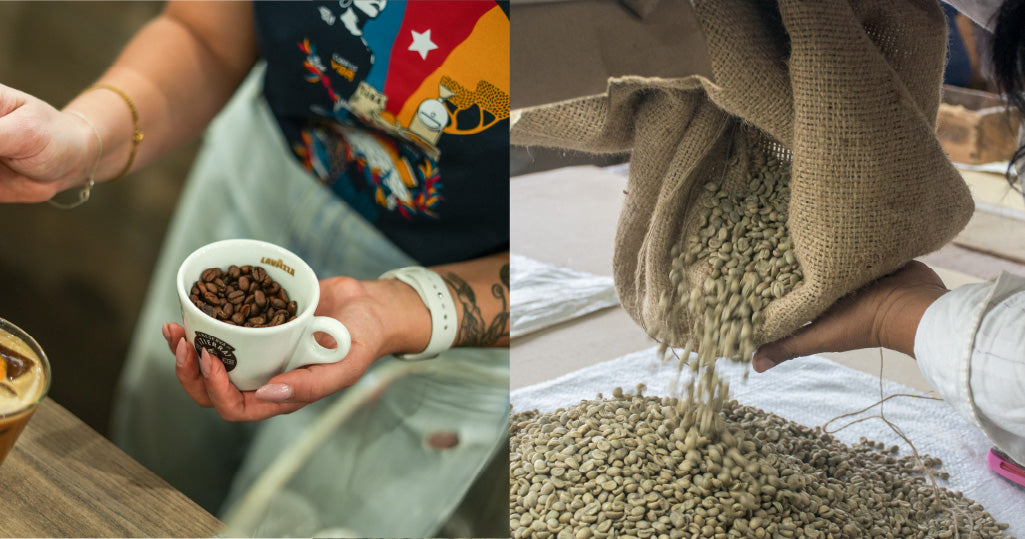 Cuban Coffee's Comeback - From Decline to Sustainable Revival