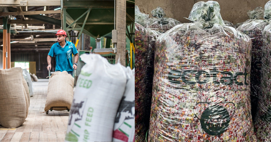 Navigating Coffee's Logistical Challenges - The Importance of Quality Packaging