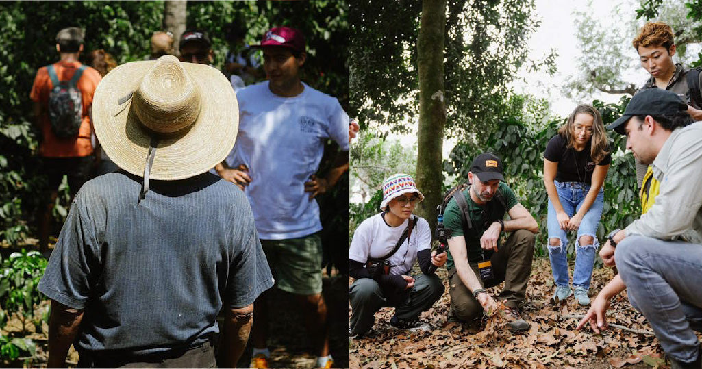 Innovative Coffee Farming - PRF Farm Summit 2023 in Colombia