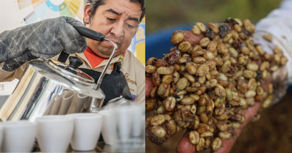 Exploring the Wild Side of Coffee - Funky Flavors and New Techniques