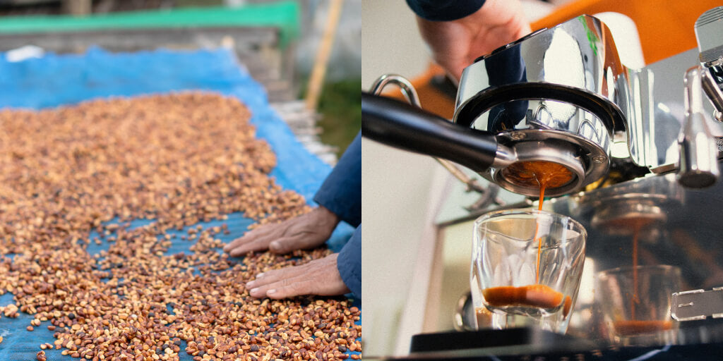 Crafting the Perfect Coffee Blend - Balancing Flavors and Techniques