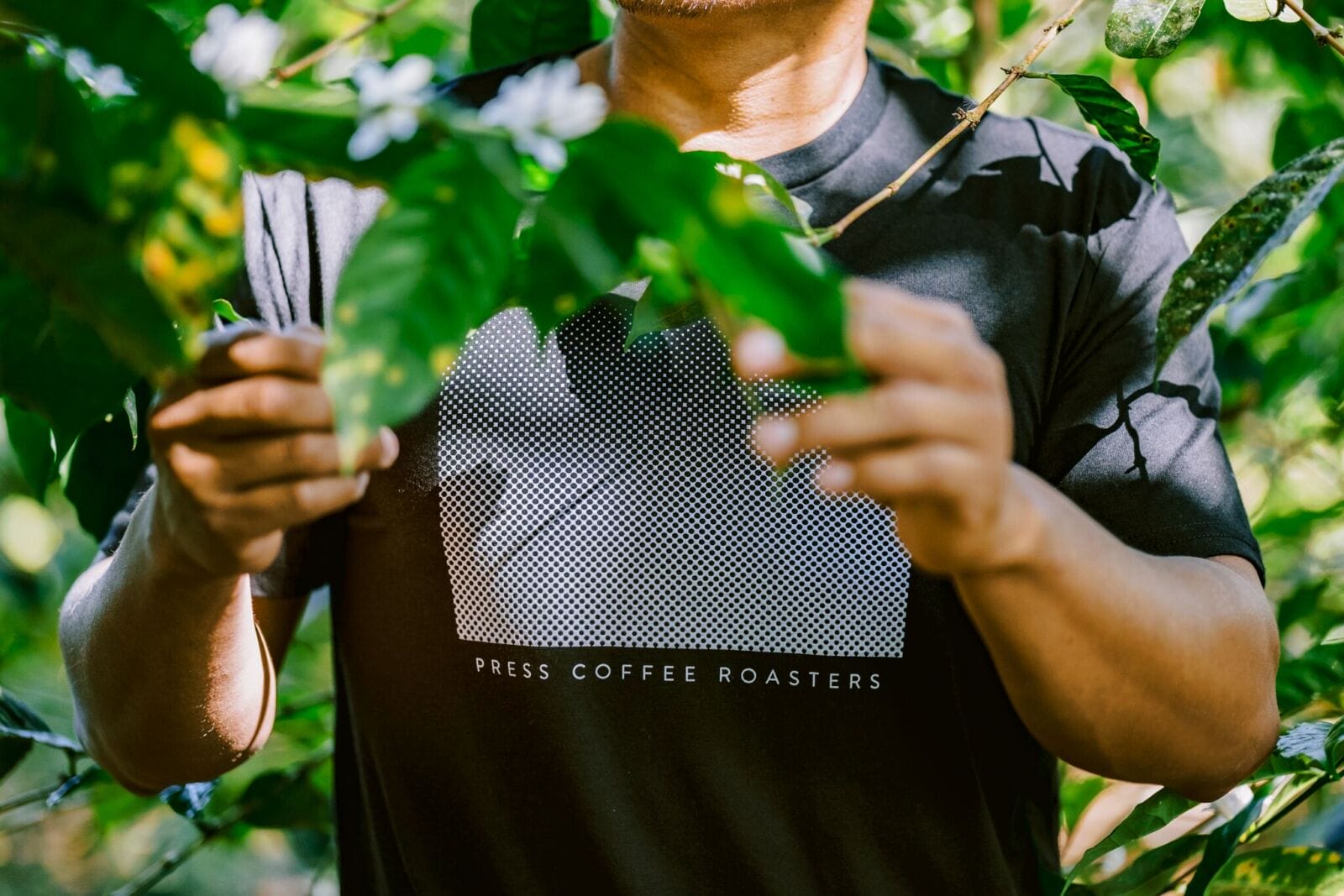 PRESS Coffee Expands Horizons with New Panama Coffee Estate