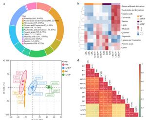 Mapping Flavor - How Processing Methods Transform Arabica Coffee