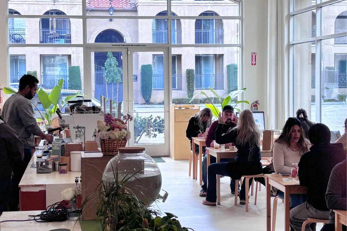 Stray Dogs Coffee Celebrates One Year of Community and Canine Love