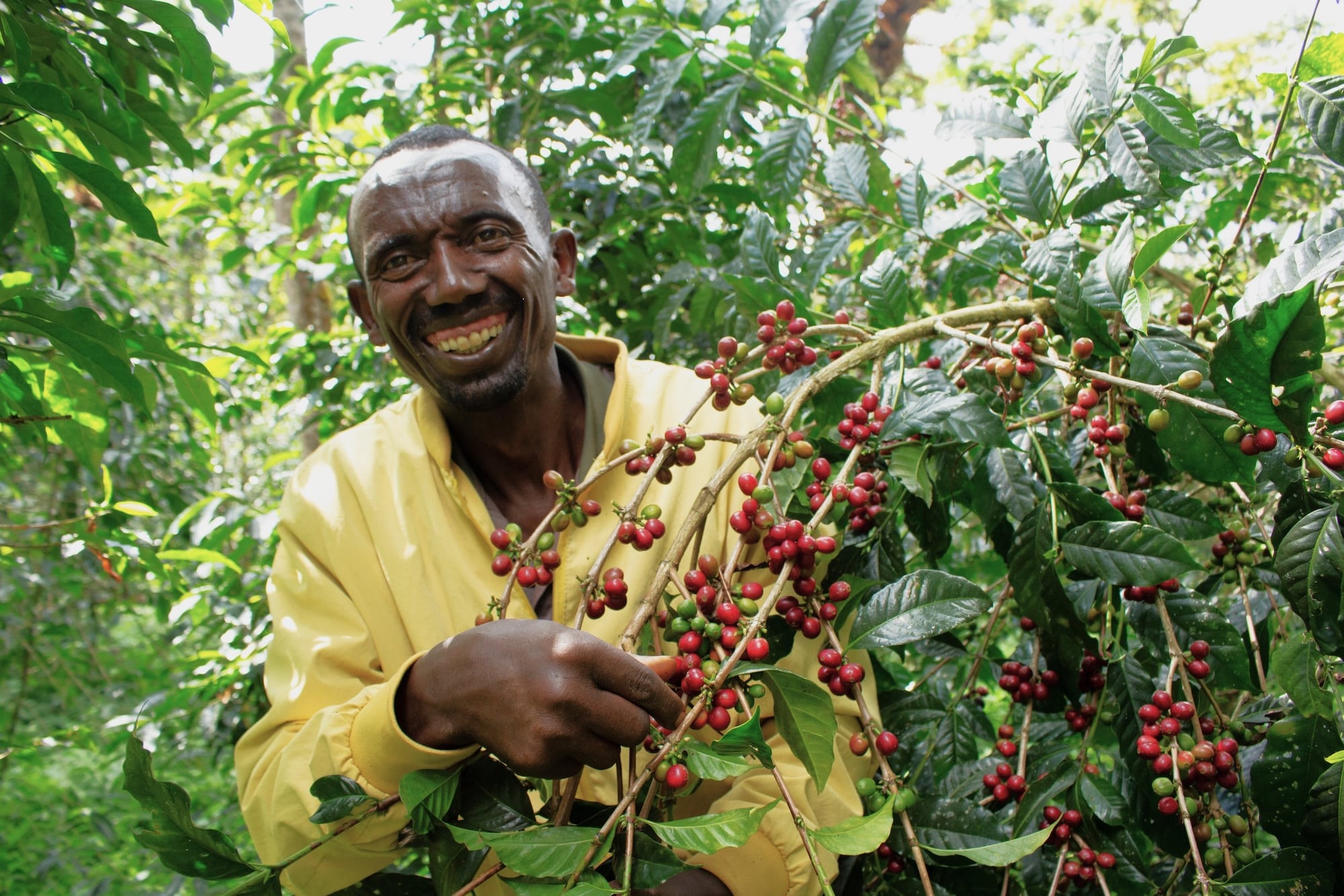 Farm Africa's Project Transforms Forests and Lives in Ethiopia