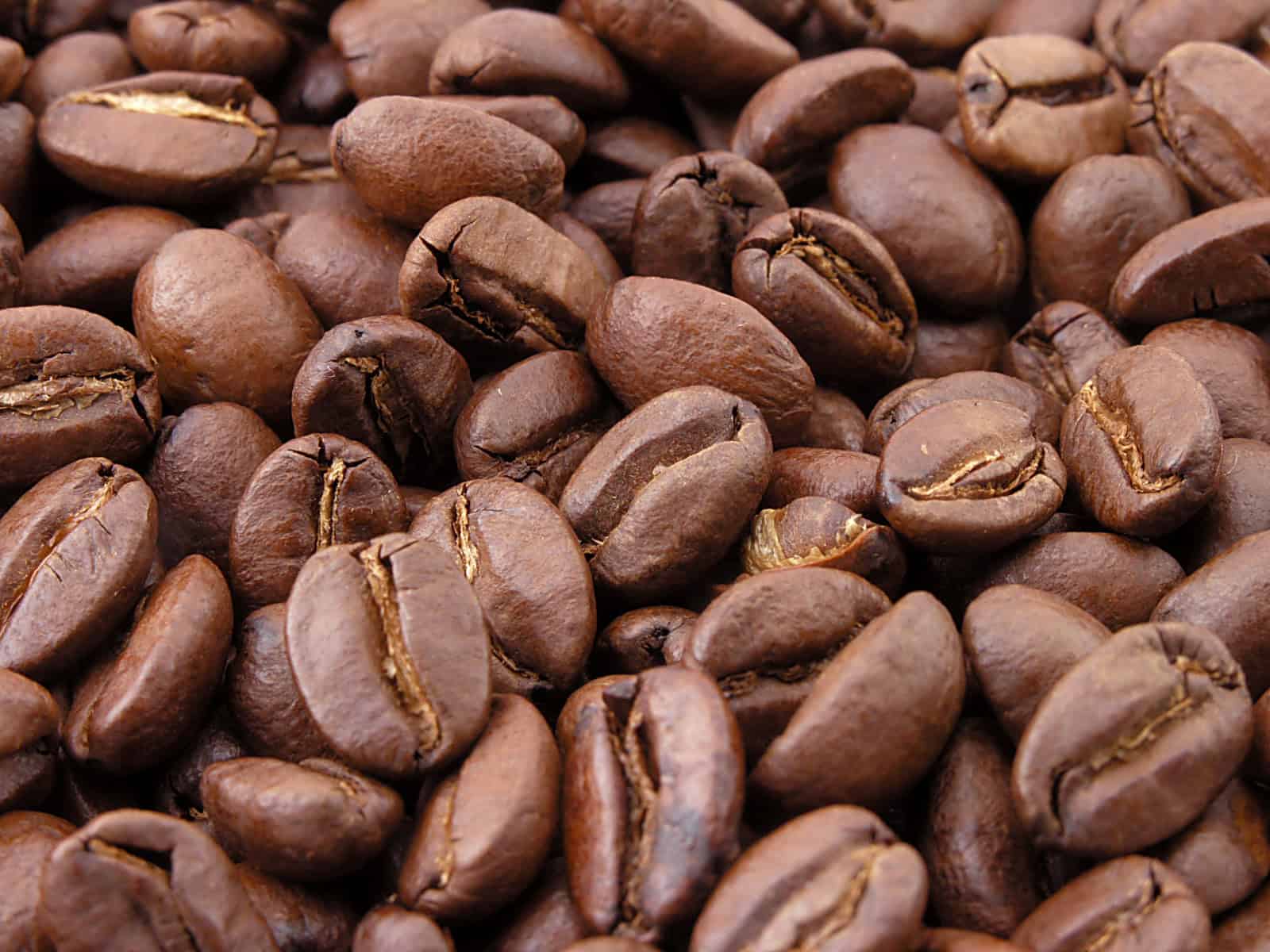Rising Coffee Prices - What You Need to Know About the Global Crisis