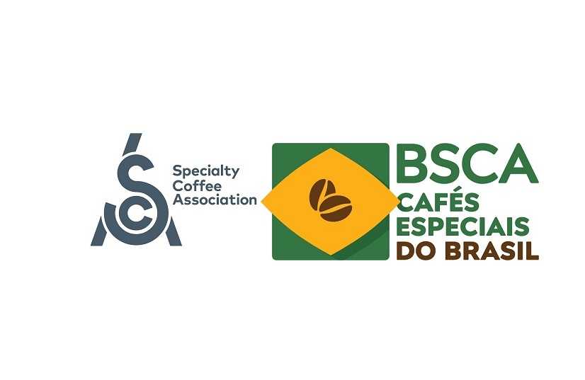 Brazil Takes the Lead in Specialty Coffee Quality Assessment