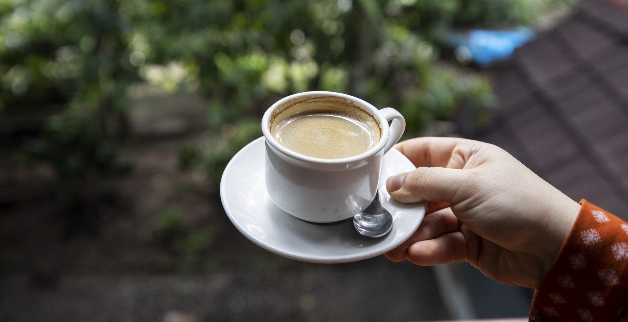 The Secret Behind the World's Most Expensive Coffee - Kopi Luwak