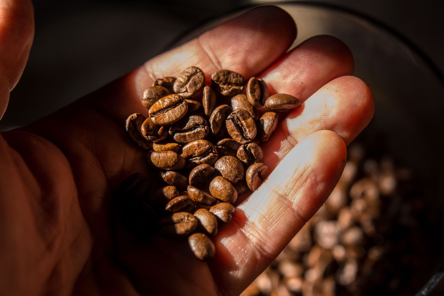Solar-Powered Coffee Roasting - A Sustainable Future or Just a Dream?