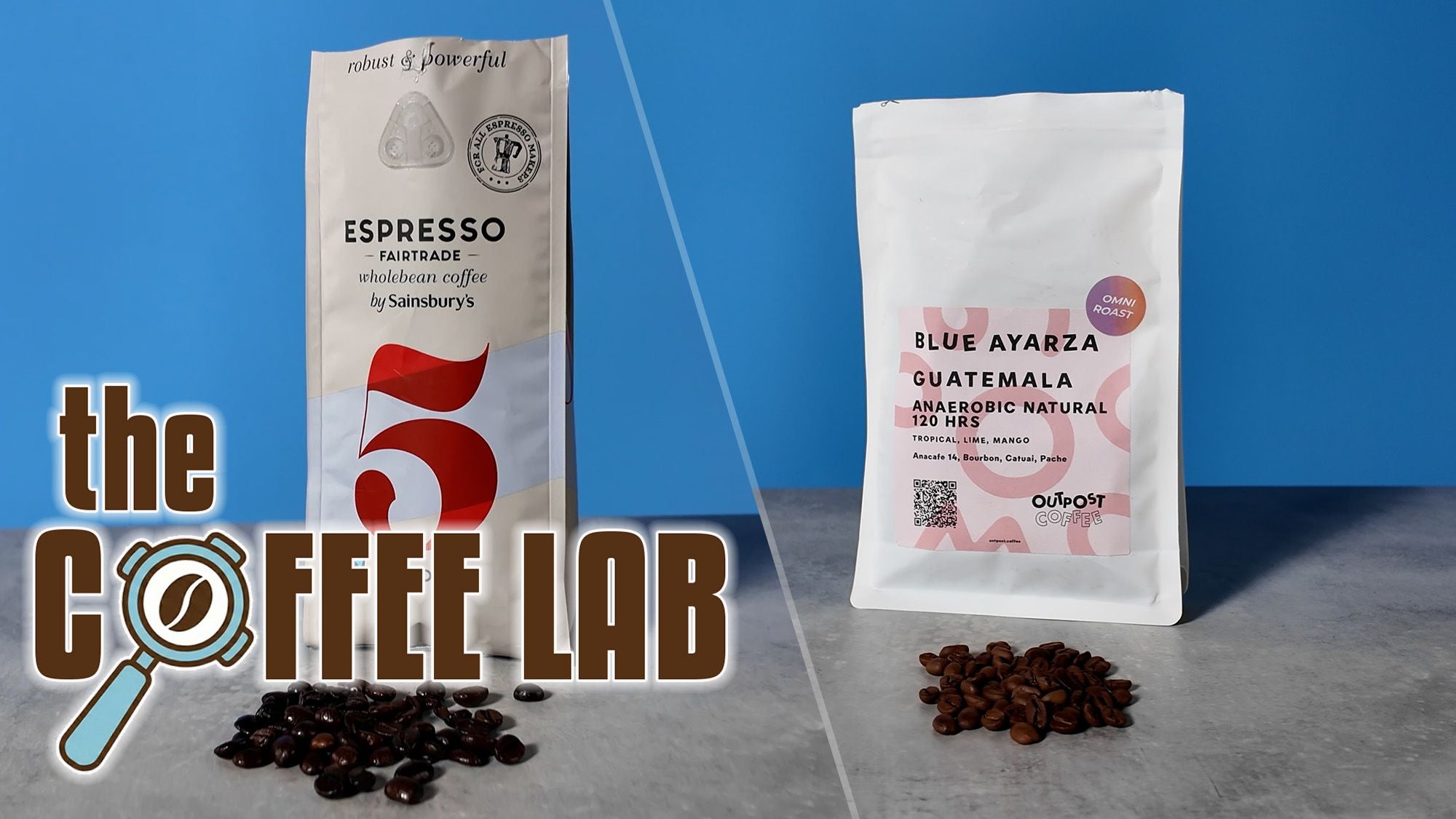 Exploring the Coffee Bean Dilemma - Are Premium Beans Worth It?