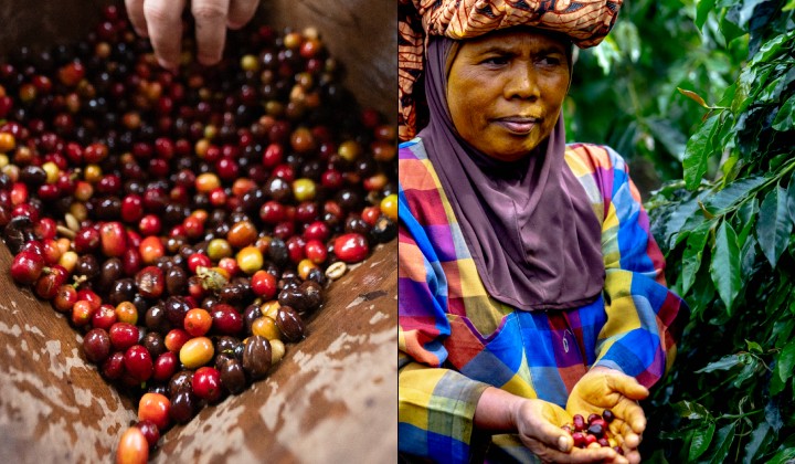 The Journey of Your RM15 Starbucks Coffee - More Than Just a Brew