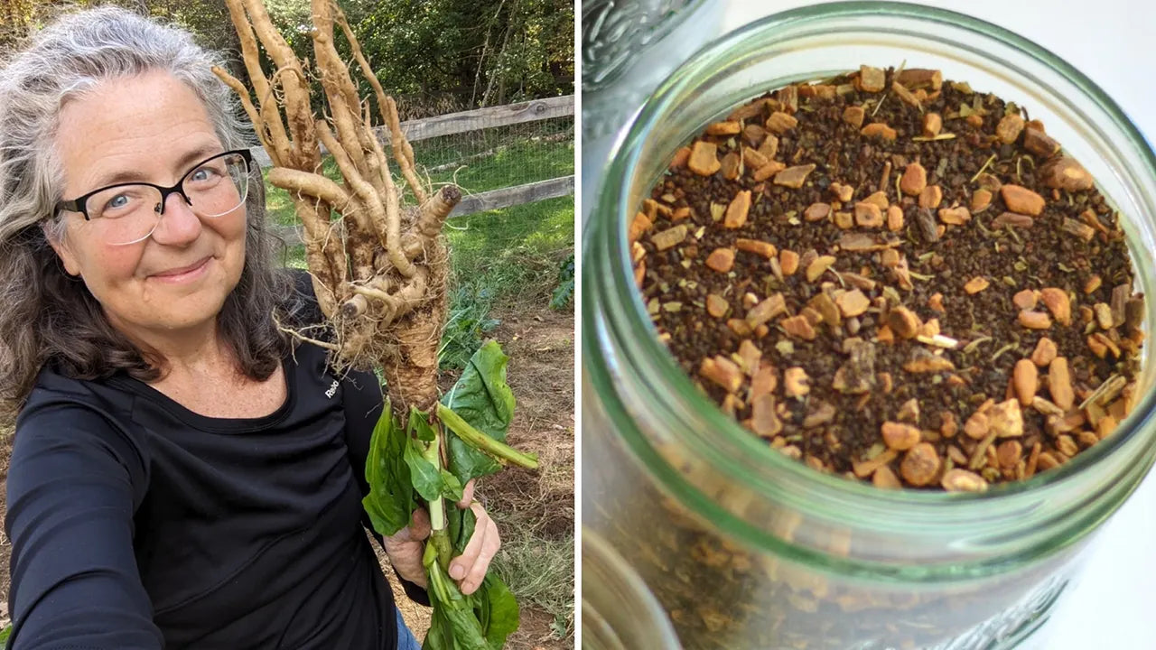 Chicory - The Natural Coffee Alternative Gaining Popularity