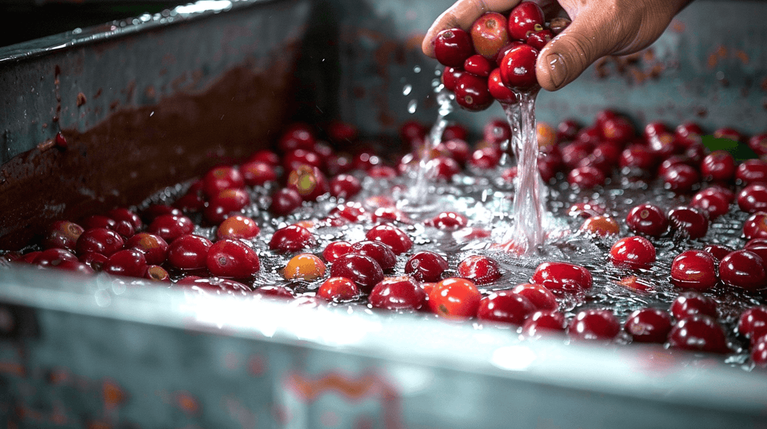 Washed process for coffee