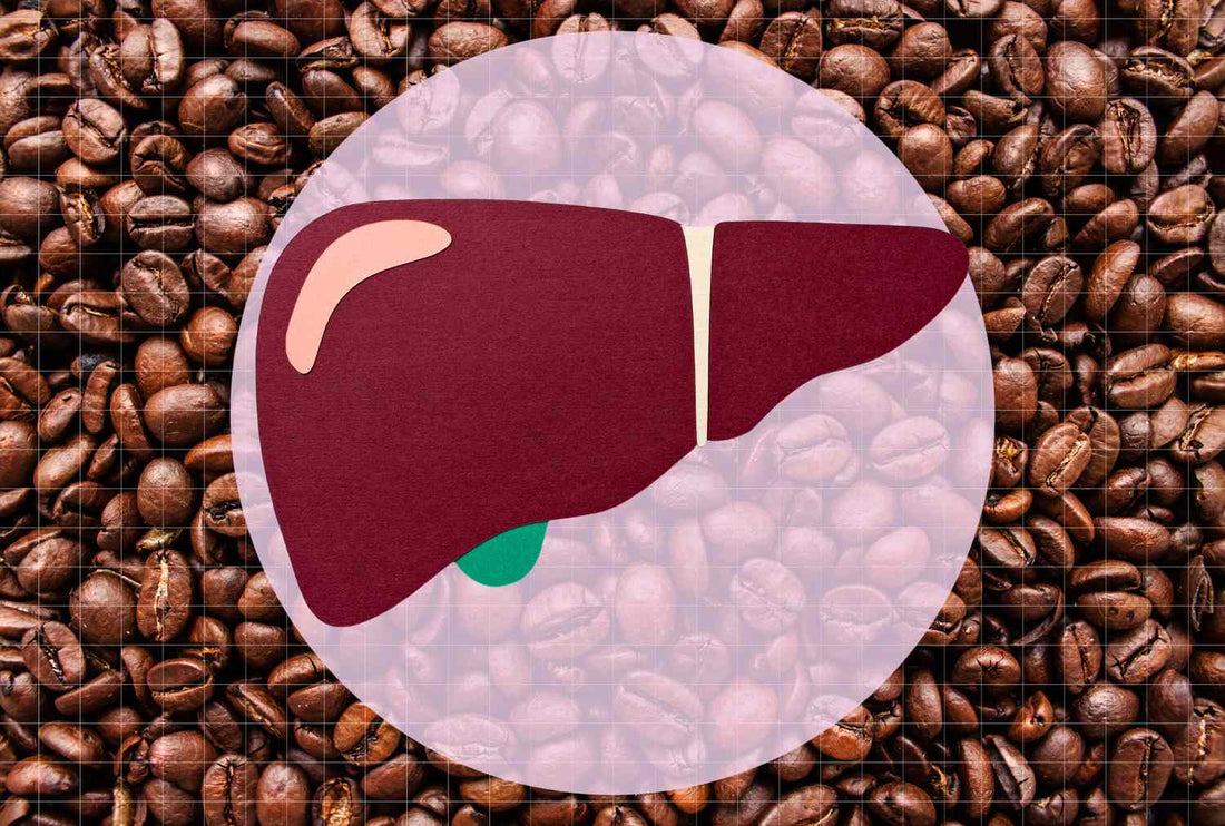 Coffee's Role in Protecting Your Liver Health