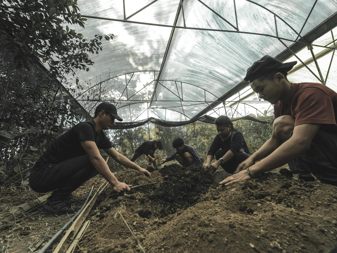 Nagaland's Coffee Revolution - From Conflict to Cuppa