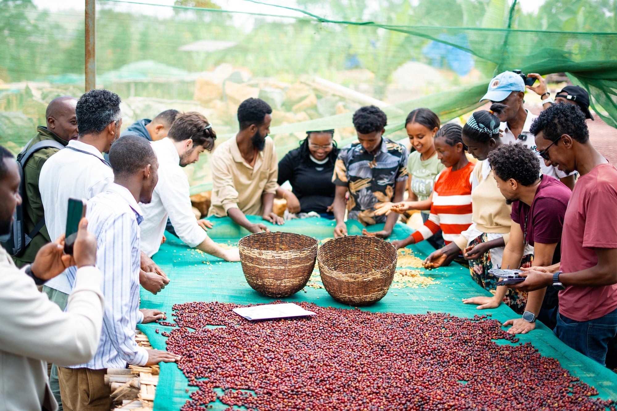 Coffee Quality Institute Launches 2026 Global Coffee Fund Initiative
