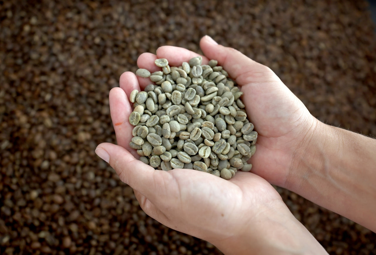 Blend Coffee & Cocktails Files for Chapter 11 Bankruptcy